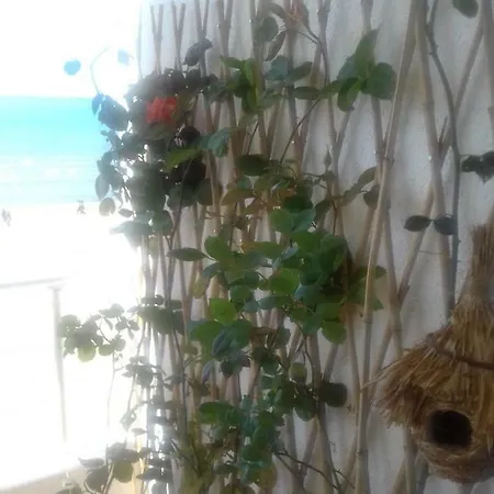 La Terrazza Di Venere *