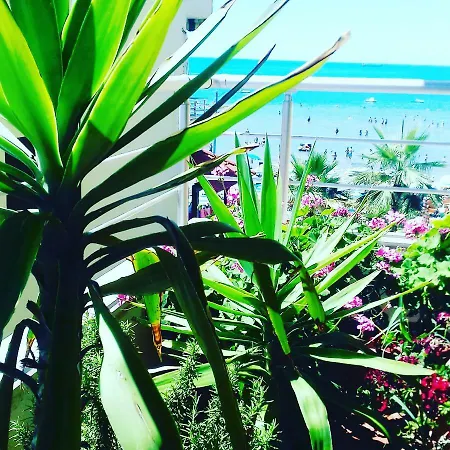 La Terrazza Di Venere * Durres