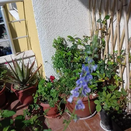 Oda ve Kahvaltı La Terrazza Di Venere *